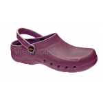 Darba apavi Eva Clog