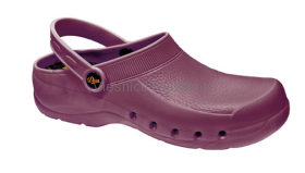 Darba apavi Eva Clog