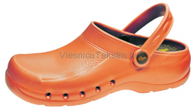 Darba apavi Eva Clog